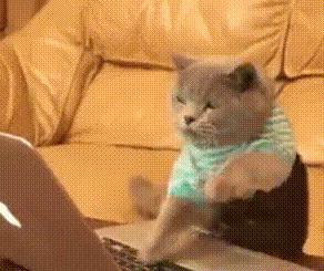 各国代购退税,海外代购税率多少可以退税吗