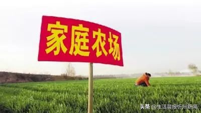忻州十大农场排名,忻州有哪些农场