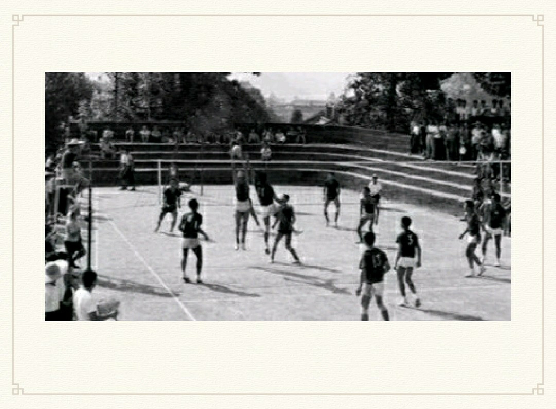 泰山中学回忆,山东中学排球