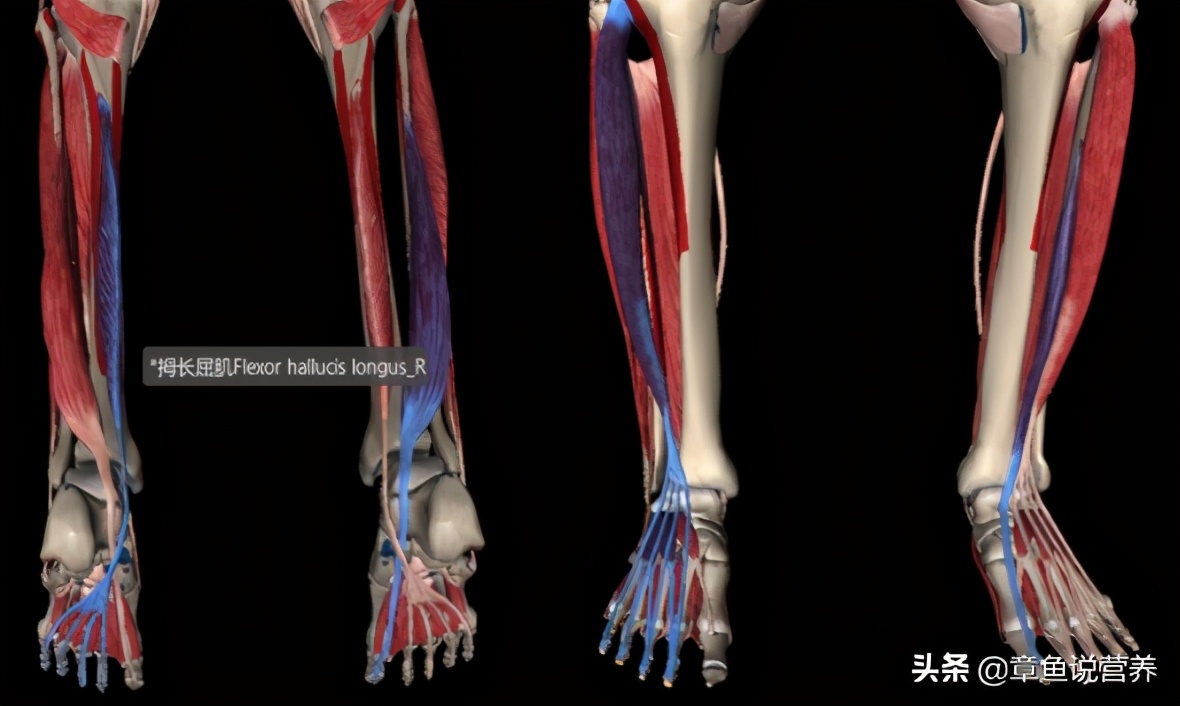 脑卒中的肢体康复训练,脑卒中步行训练的步骤及要点