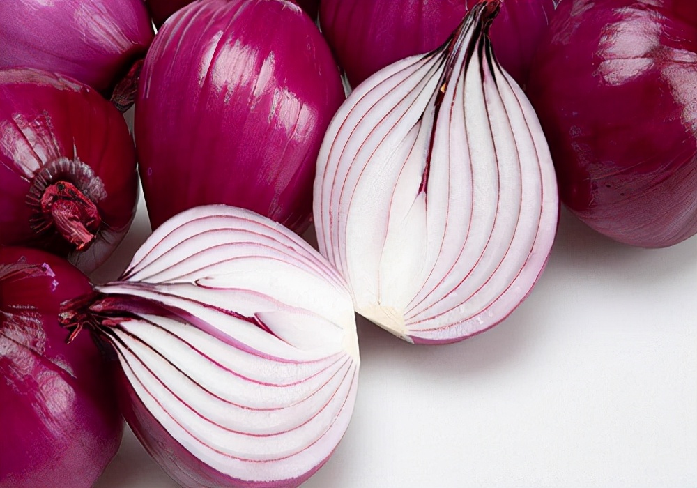 狗狗受凉打喷嚏呕吐,狗狗呕吐要怎么办最有效的方法