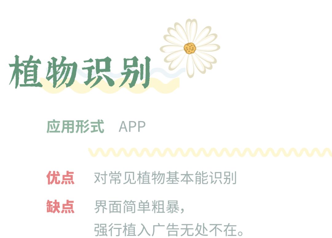 哪个识花软件最好用,识花app免费的哪个好