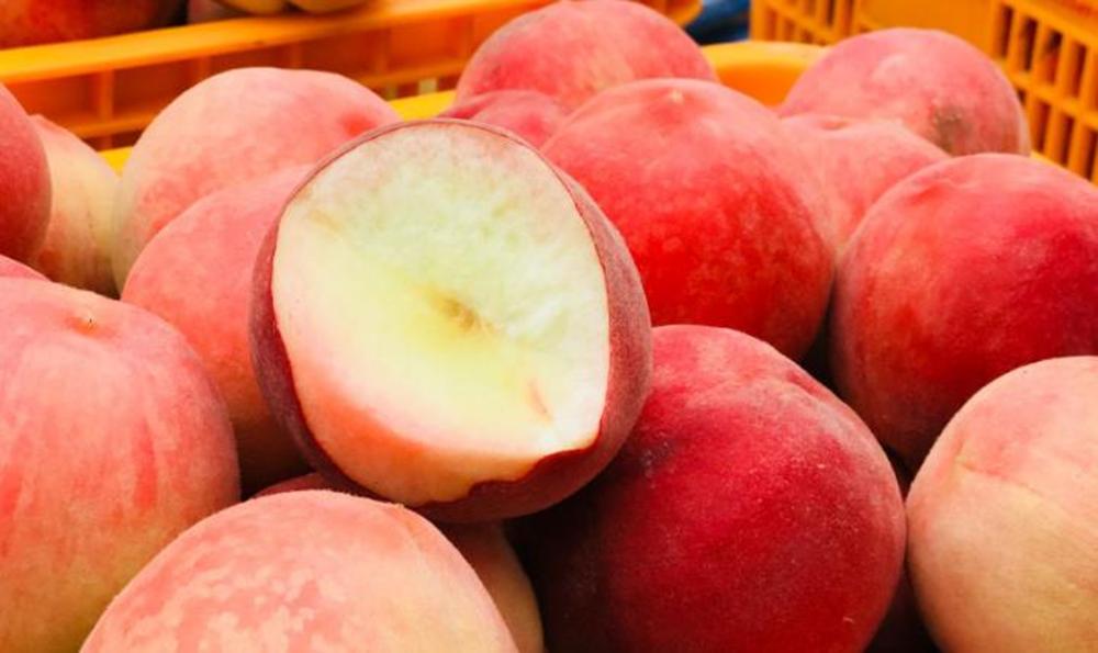 怎样挑选桃子又甜又好吃,挑选桃子又大又甜的地方