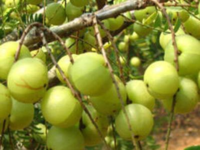 陆河县最好吃的东西,在陆河吃什么