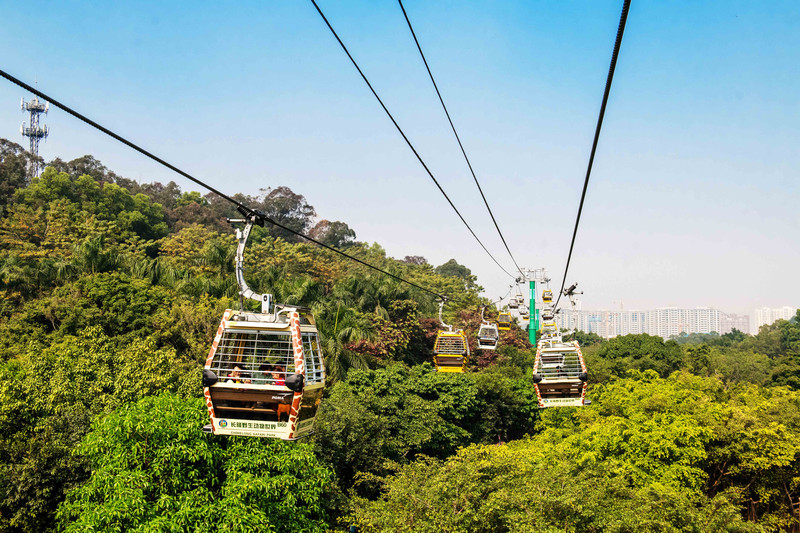 离广州长隆最近的海滩景点,长隆海洋世界王国必打卡景点