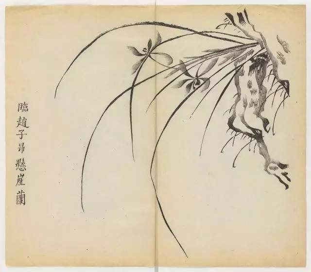 毛笔怎么画兰草,怎么画兰花和书法