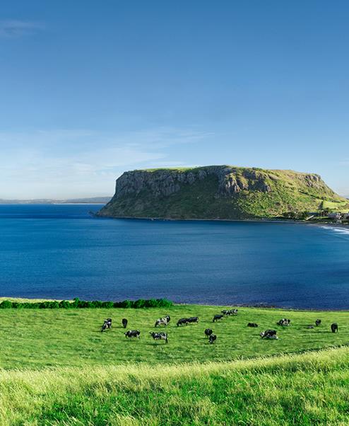 贝拉米奶粉怎么样质量好不好,贝拉米有机1段奶粉怎么样
