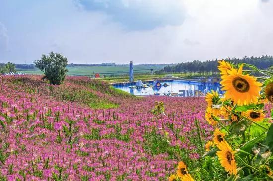 吉黑高速开通，途经吉林市哪些旅游景点呢？