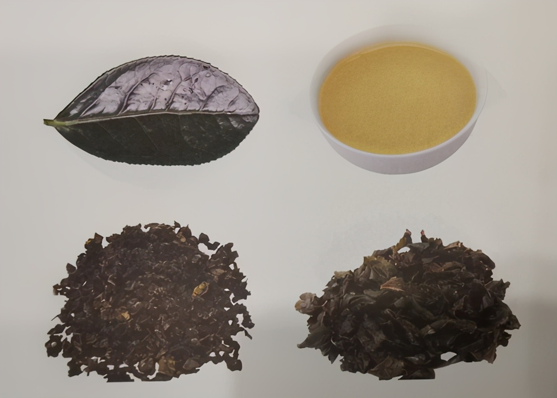 安溪铁观音有几个品种,安溪茶有什么品种