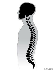 做站姿二头弯举肩痛是怎么回事,做前屈的动作就拱背怎么办