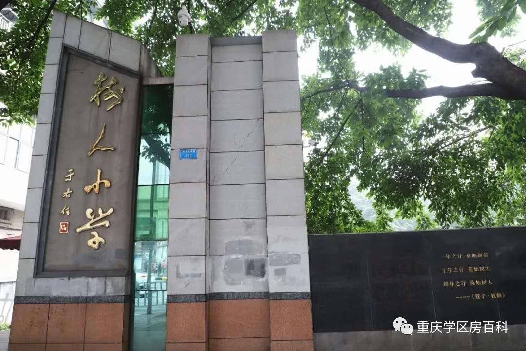 重庆树人小学分校有哪些,树人小学分校怎么样