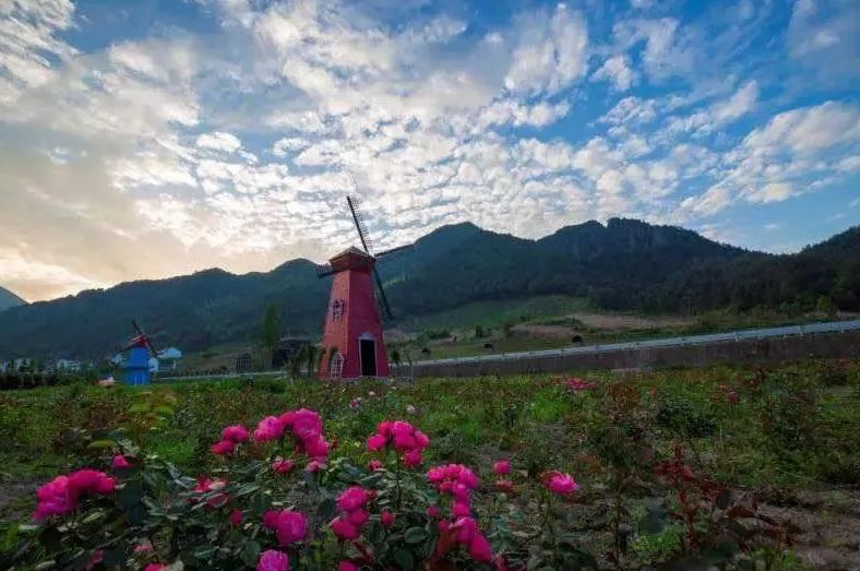 金华附近的旅游民宿推荐,金华古村古镇民宿