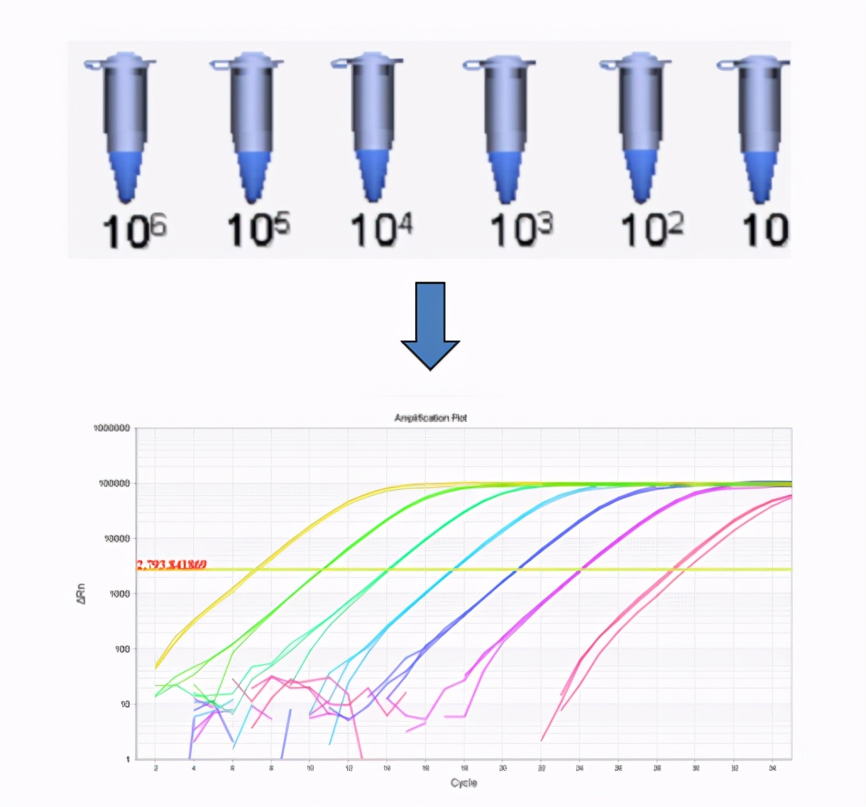干货|解锁qPCR实验中快速确定cDNA稀释梯度新姿势