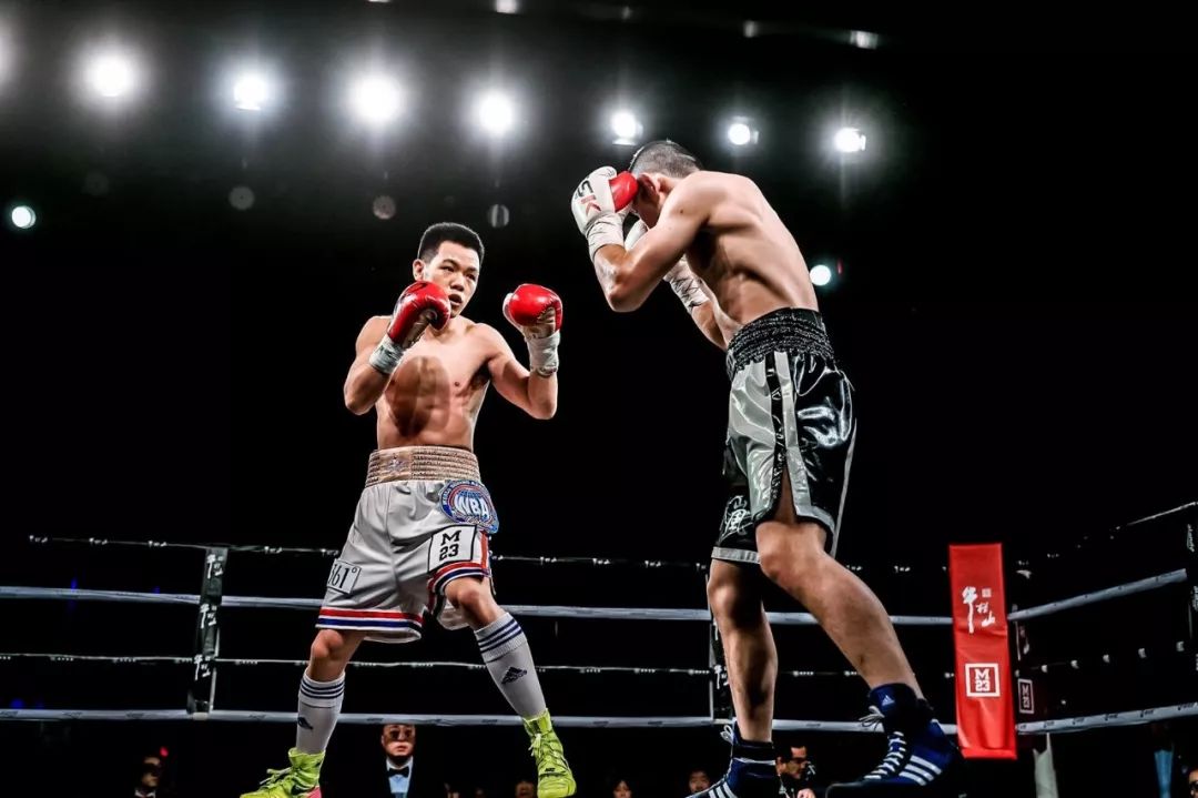 又一场中日拳击大战即将上演！徐灿欲击败日本拳王捍卫中国荣耀