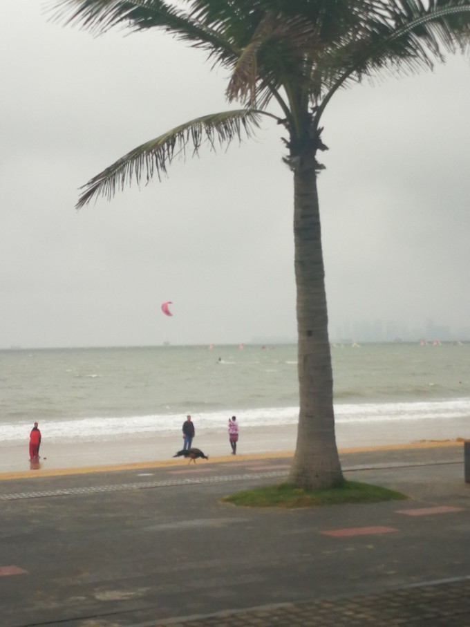 海口旅游美食全攻略,海口逛吃攻略