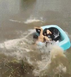 最能挨揍的男人,男人能有多抗揍