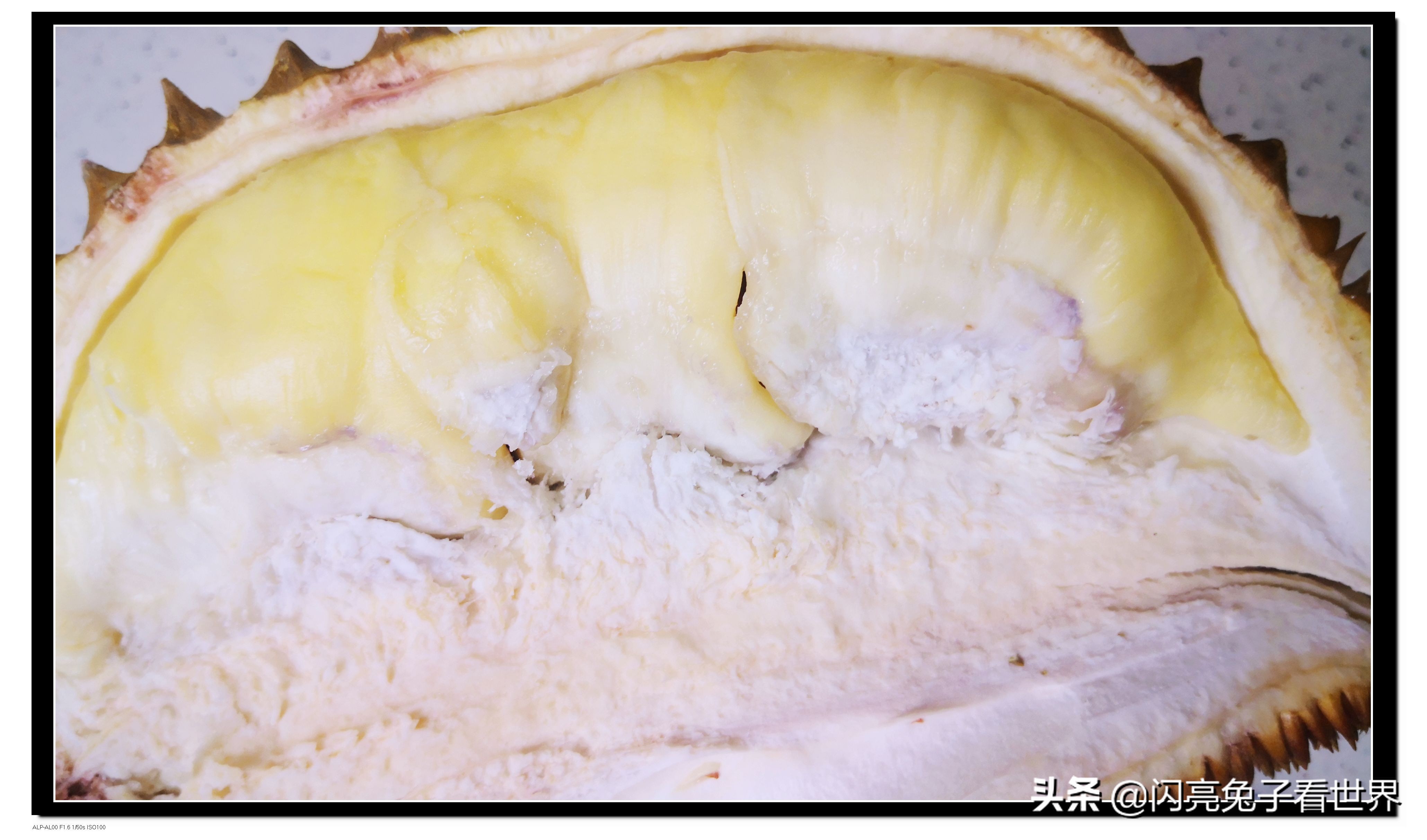 水果之王榴莲的品种,水果之王榴莲