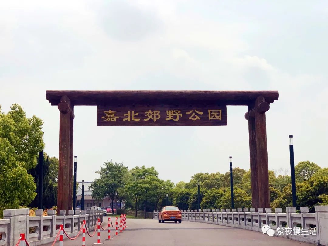 慢生活惬意悠闲,悠闲惬意上海