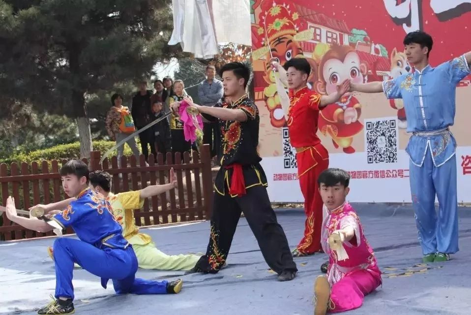 游园30秒,夏日游园攻略