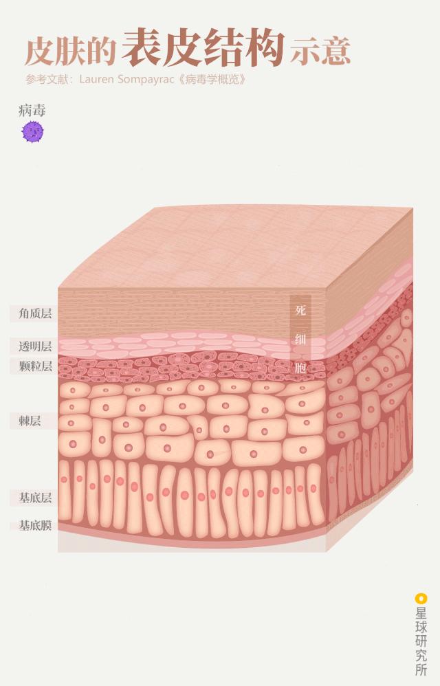 鍋囧鐥呮瘨鎰熸煋浜嗘垜,鍋囧鐥呮瘨鎰熸煋浜嗕綘