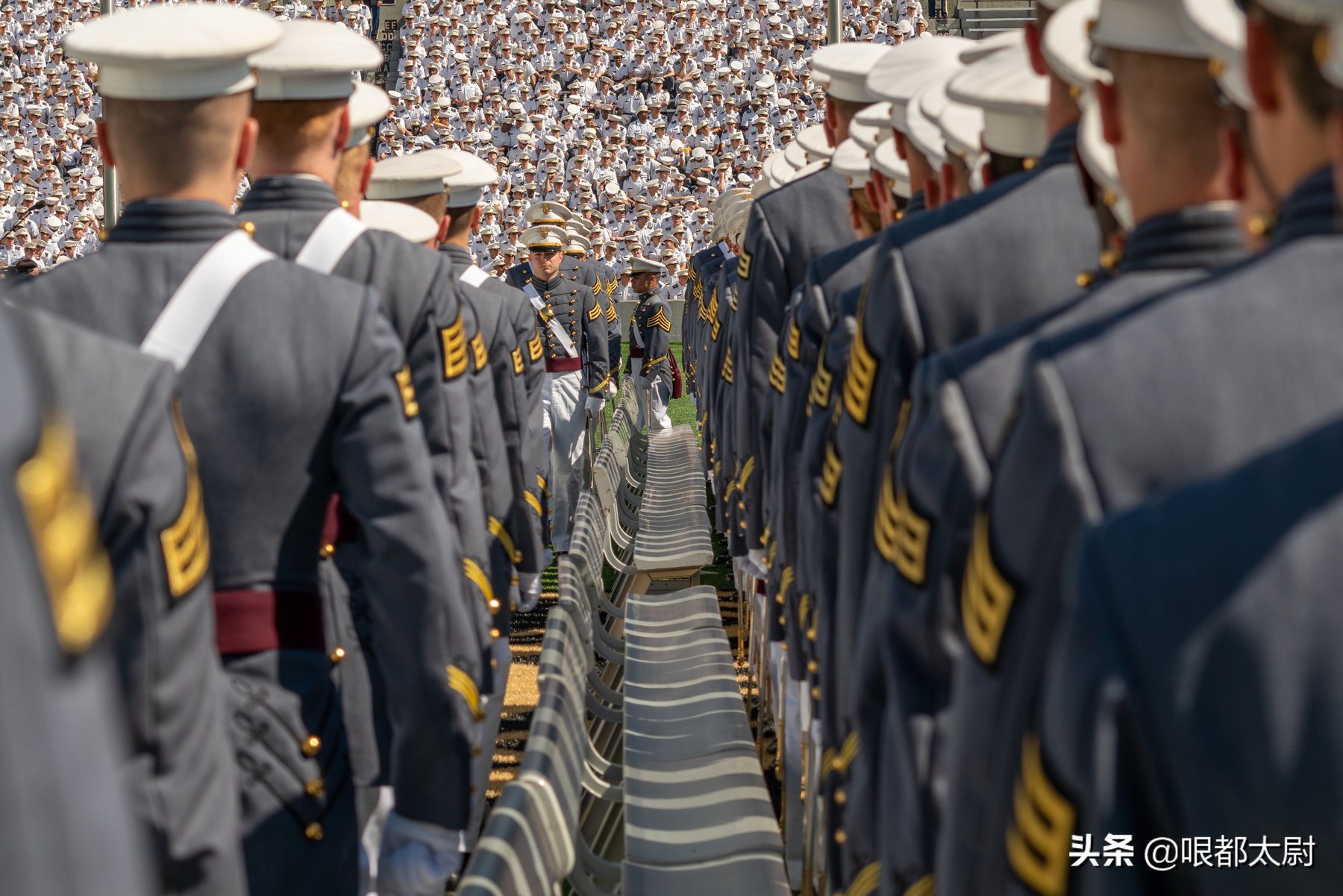 美军现任41名上将，仅2个黑人！美国有色人种参军，升职有多难？