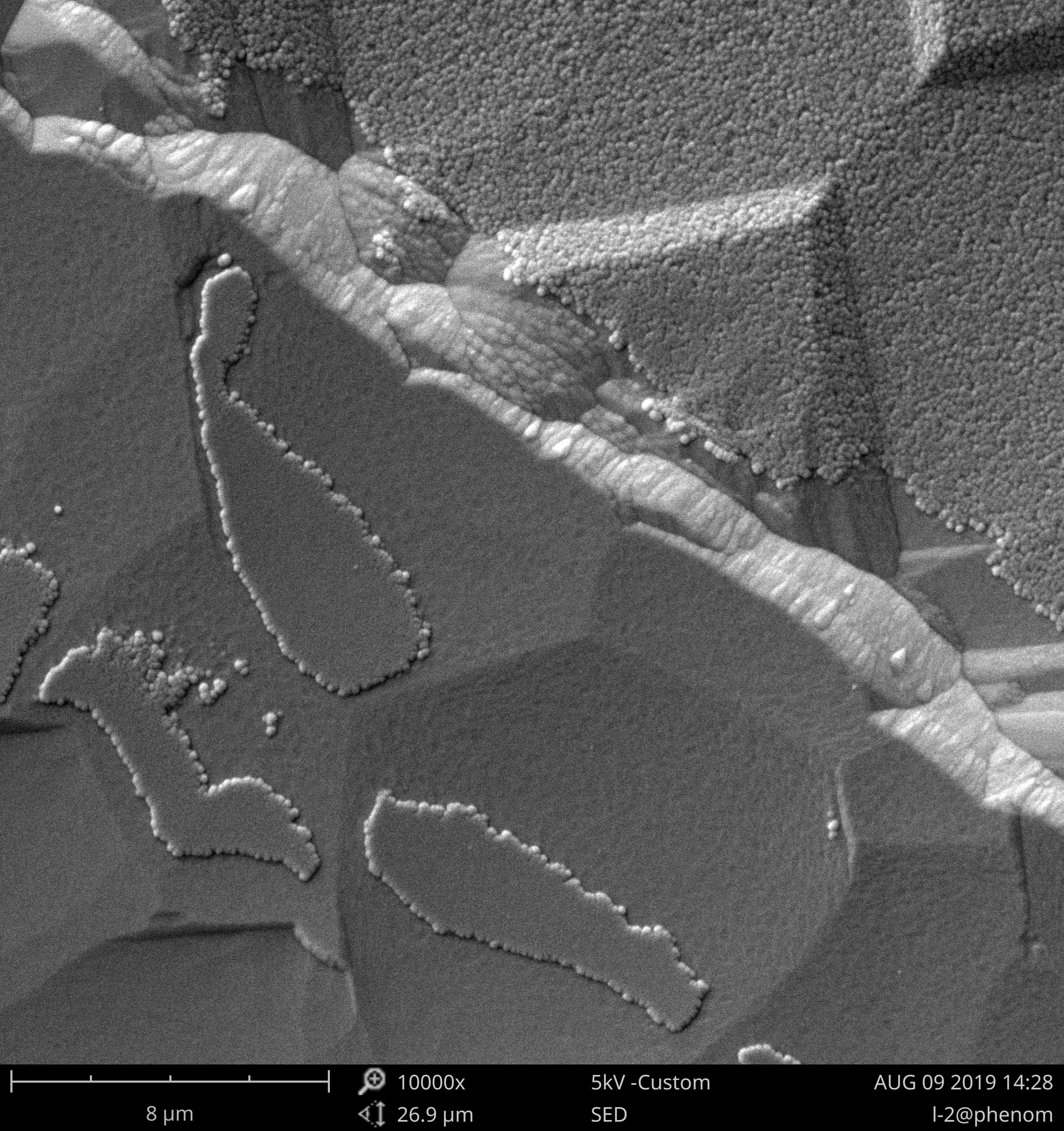 扫描电镜不导电样品需要怎么处理,扫描电镜不导电的样品拍出来模糊