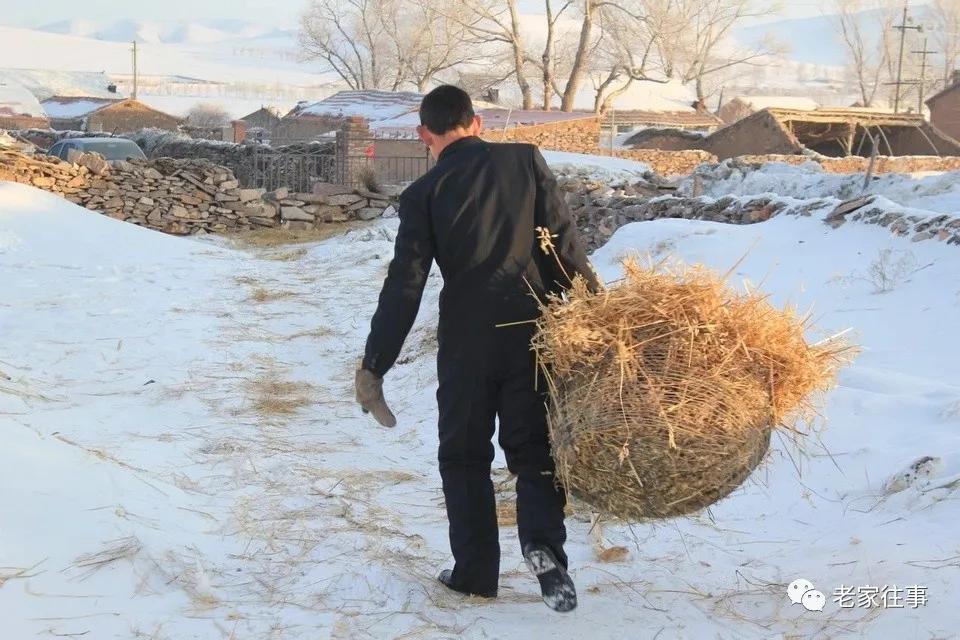 老家的印象和往事 (老家的印象介绍)