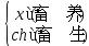 部编版语文六年级下册全册知识点,部编版语文六年级下册知识点大全