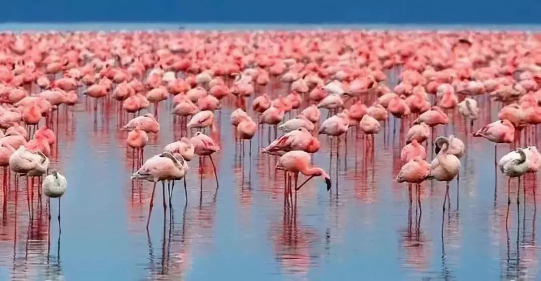 大航海之路爱神之岛塞浦路斯位置,塞浦路斯爱神之岛葡萄酒