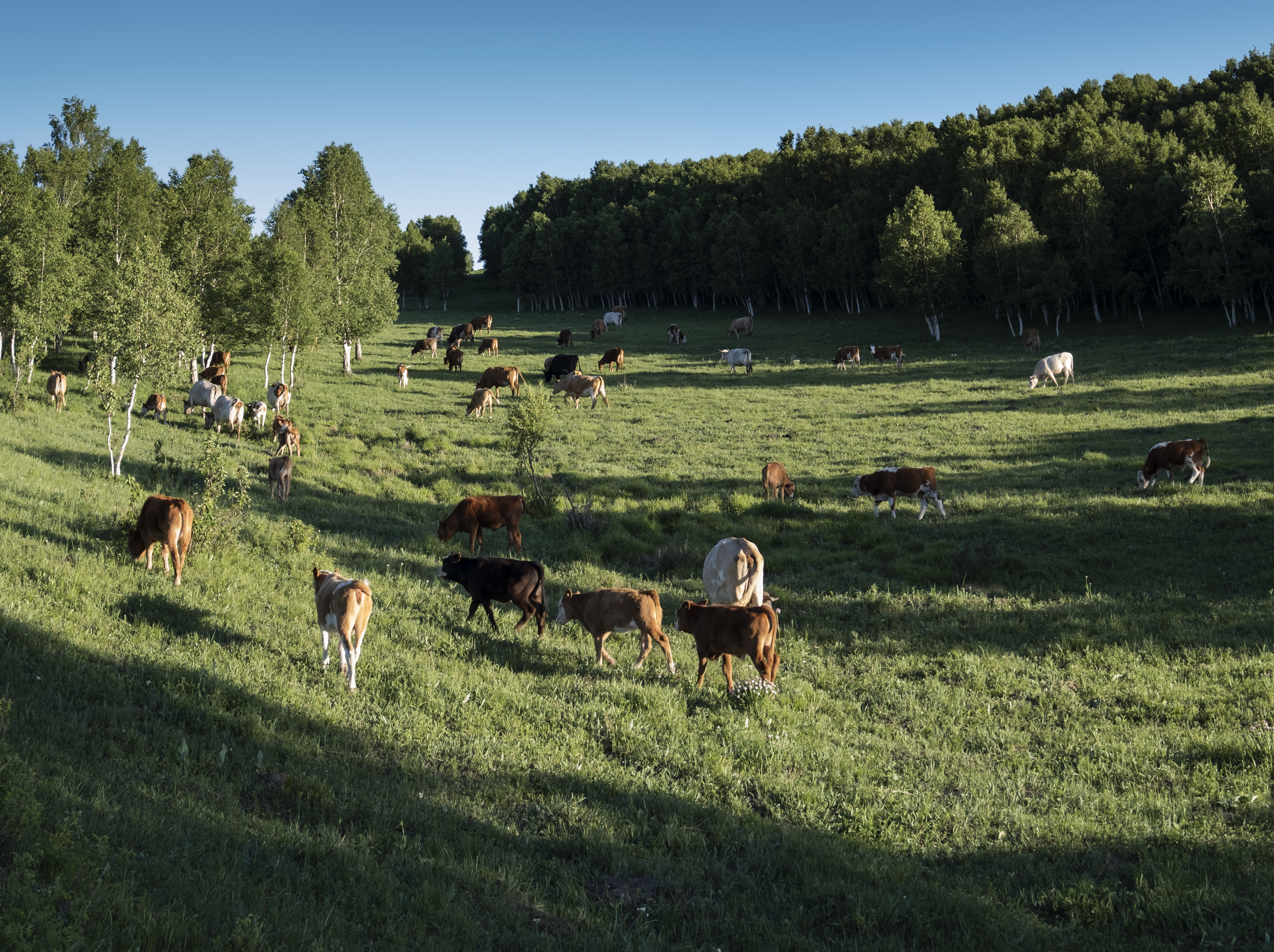 坝上草原天路美景,大美坝上风光系列之一