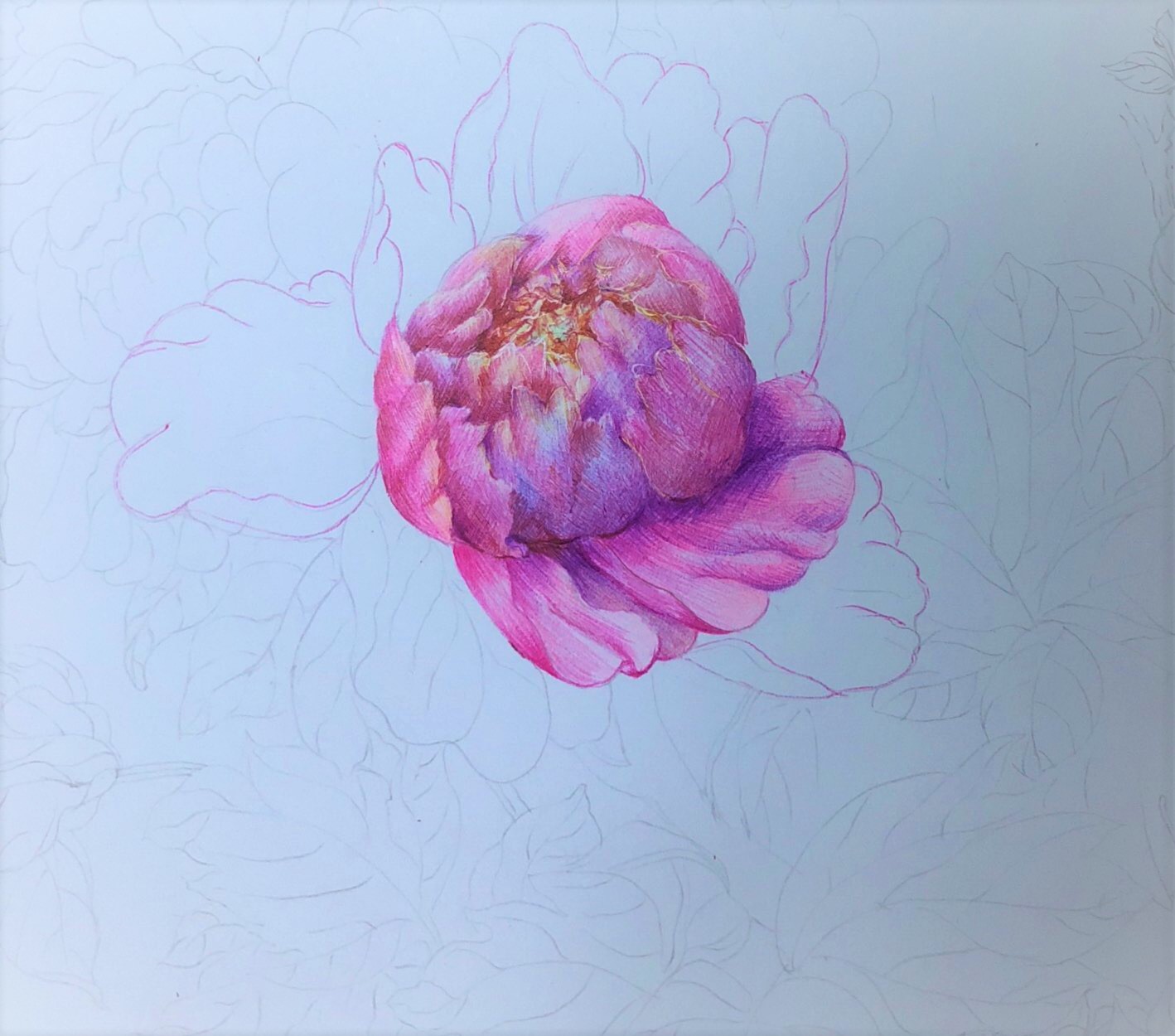 圆珠笔画牡丹教学,圆珠笔画牡丹的画法