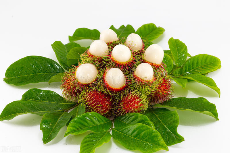 世界这么大你知道有几种水果吗,世界上都有哪些可以吃的水果