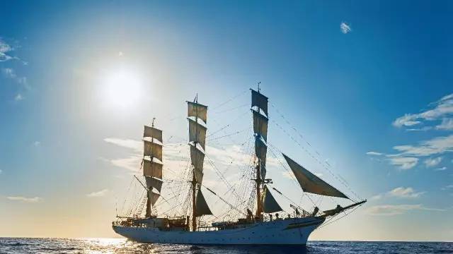 七个超奇葩的冷知识大全,这些奇葩冷知识每个都和你有关