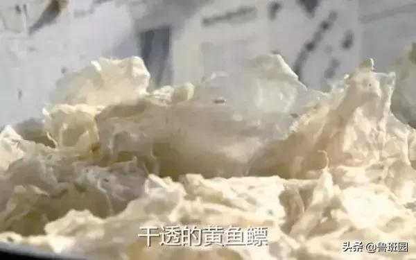 鱼鳔胶怎么样的好,鱼鳔和鱼鳔胶区别