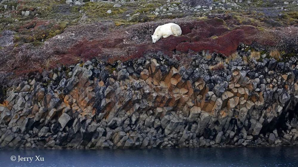 格陵兰的东海岸居然那么绚丽多彩，难怪特朗普想要买下来
