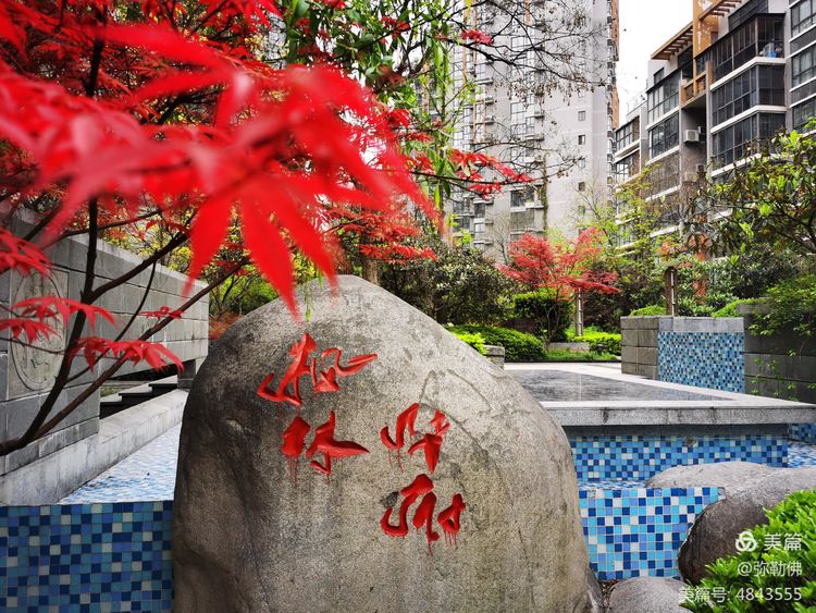 高新枫林华府住房,高新枫林华府小区评测