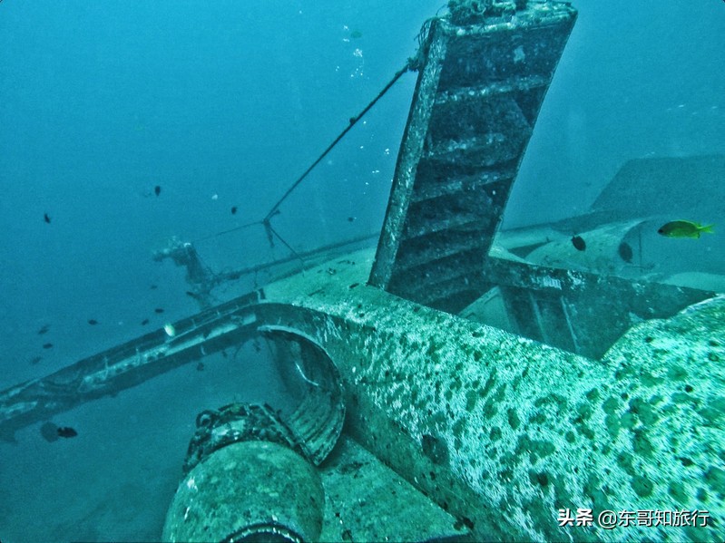 长滩岛潜水最好的地方,长滩岛潜水多少米