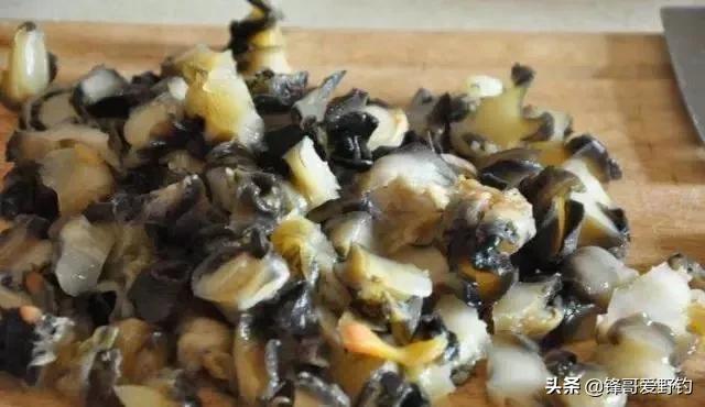 野鲤鱼爱吃什么饵料,野生鲤鱼用什么料钓最好