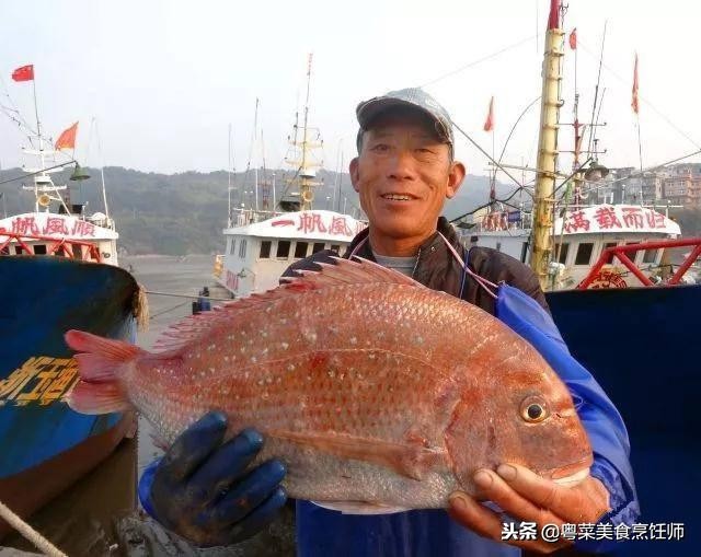 名贵海鲜干货有哪些品种,名贵海鲜水产品种类