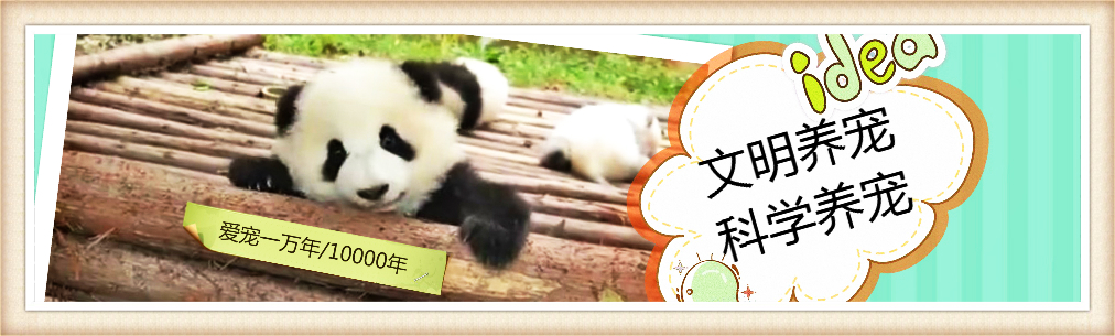 小仓鼠轻轻的咬人是要干嘛,仓鼠在怎么情况下会咬人