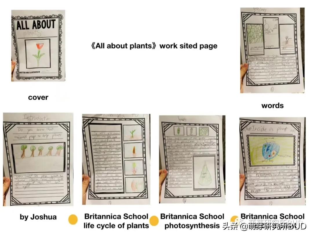 小孩子视力下降怎么可以恢复,儿童视力恢复最佳方法3-6岁