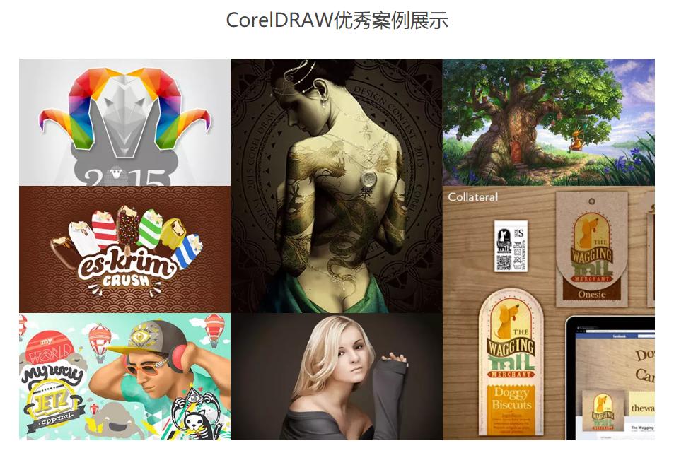 设计软件coreldraw免费,coreldraw怎么加粗图形线条