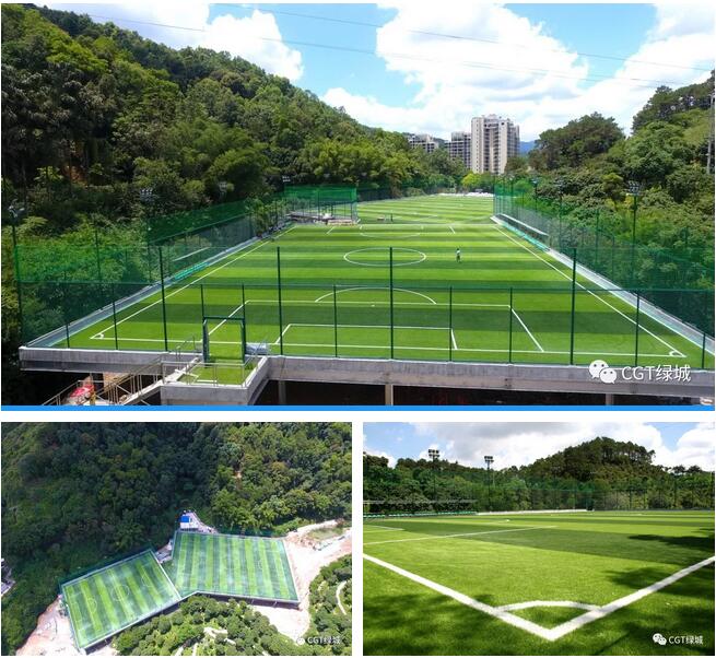 国外人造草坪足球场,高端人造草足球场