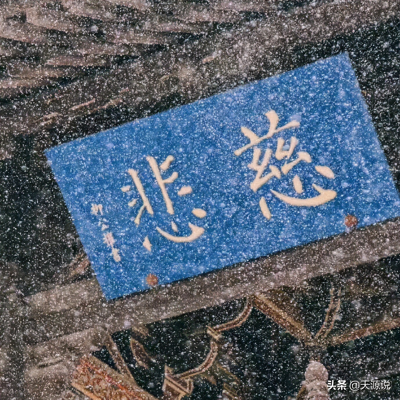 自学古瓷器鉴赏如何入门,初学者瓷器入门教程