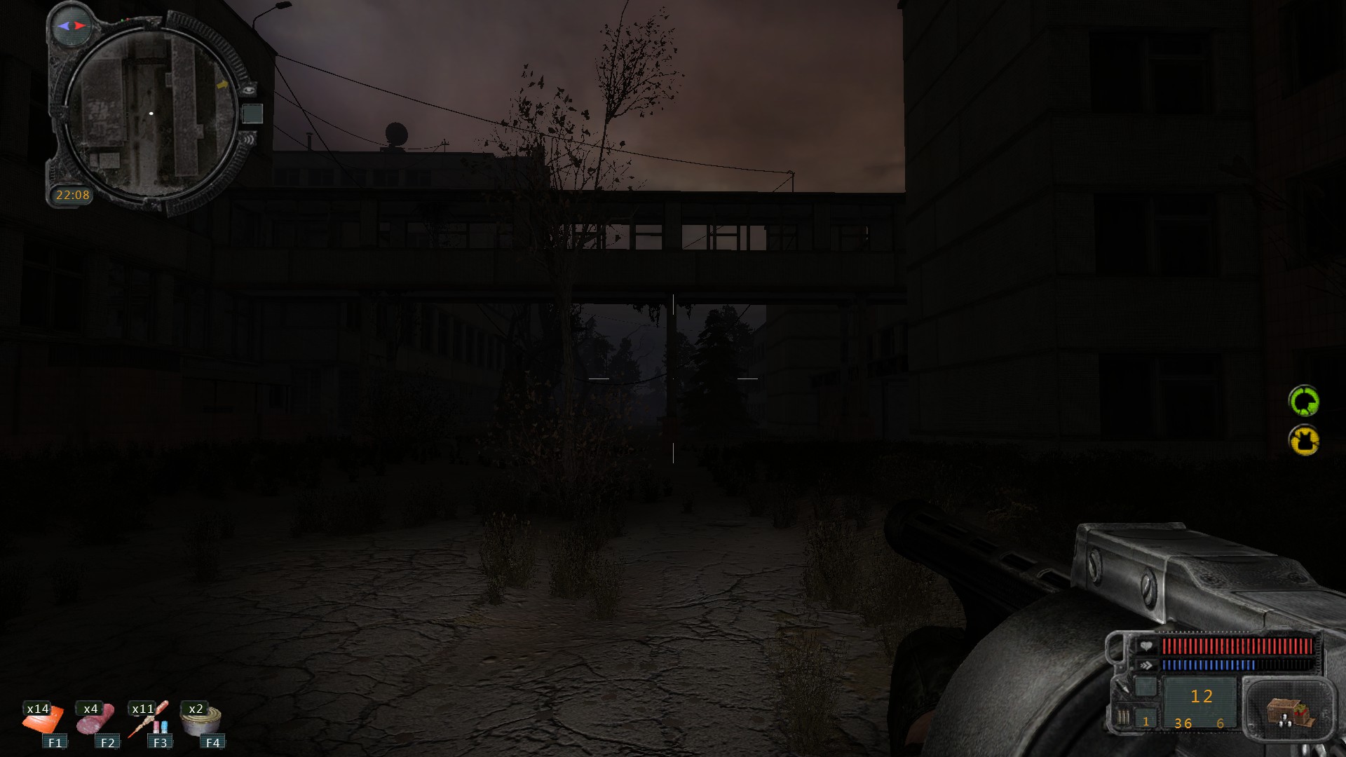 朝花夕拾雪地捕鸟视频,朝花夕拾雷利亚