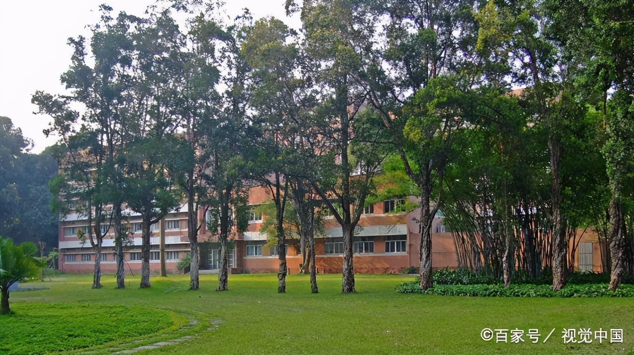 大学休学一年可以不回去吗,大学休学五年还有学籍能继续上吗