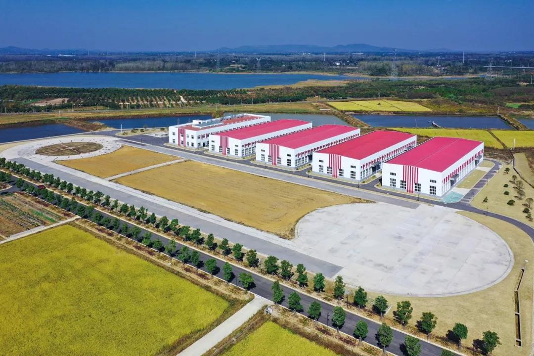 南京亮出年中答卷gdp同比增长22%,南京上半年gdp增速