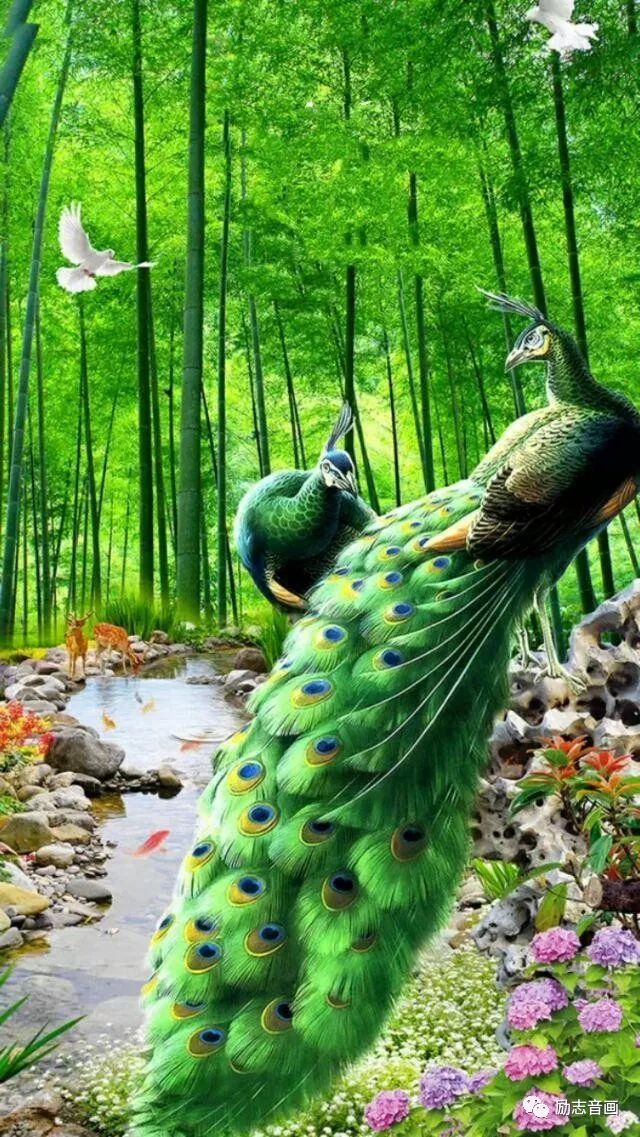 2020年绝美挂历送给你,天下第一福挂历2019年