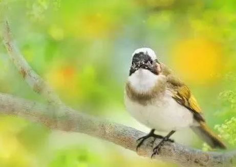 心理测试测你近期需要提防是什么,心理测试四种礼服测你的脾气