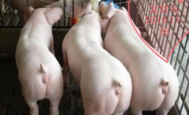 母以子贵怎么回事,母以子贵的后果